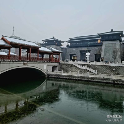 【寵物新年裝扮】