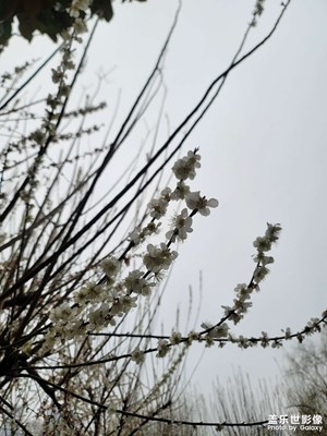 【返程路上】拍拍拍