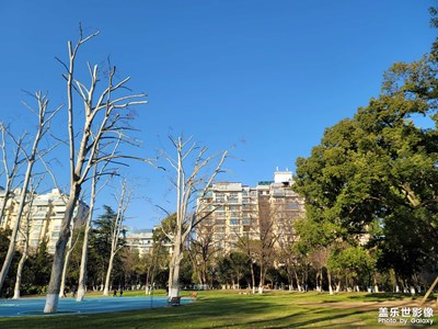 【返程路上】藍色