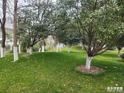 【返程路上】堤角公園