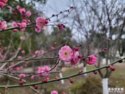 【返程路上】風景隨手拍