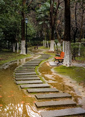 【三星手機(jī)攝影】尋找自然生態(tài)之美