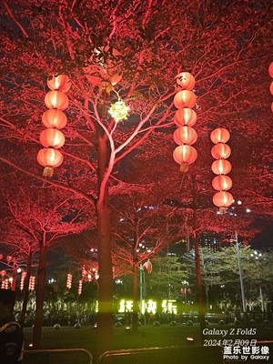 【我家鄉(xiāng)的春節(jié)】+深圳燈光秀