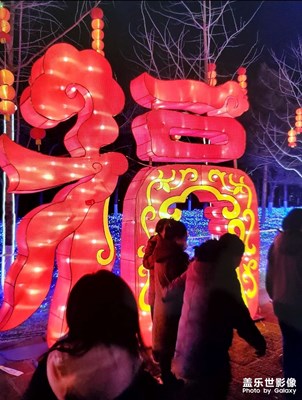 【元宵納?！??看燈會