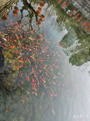 【我家鄉(xiāng)的春節(jié)】濟(jì)南之行