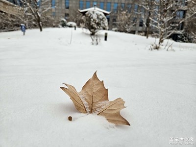 龍年首雪園區(qū)小景