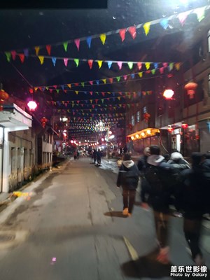 【元宵納?！??花燈節(jié)