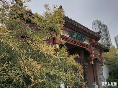 【元宵納?！抗珗@隨拍