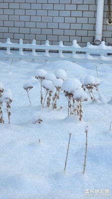 【我家鄉(xiāng)的春節(jié)】+春節(jié)集錦