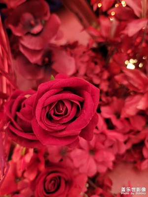 【元宵納?！空嬉嗉贂r(shí)假亦真