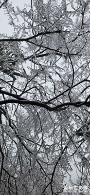 【元宵納?！?寒冬暖意