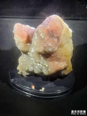 【元宵納?！?奇珍異寶