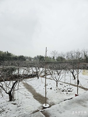 【我家乡的春节】+下雪