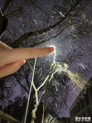 【早春】+ 春雪來了，甘肅的春天從雪開始