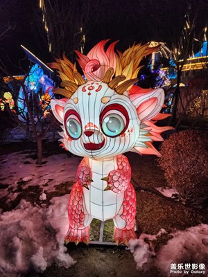 正月16去看花燈