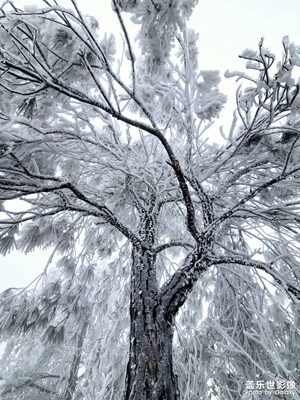 【早春】可遇不可求