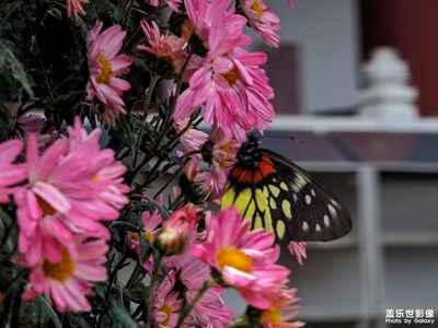 【早春】冰凍未消