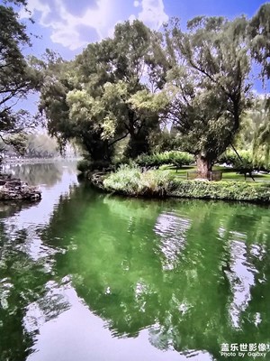 【早春】+ 春的開(kāi)始