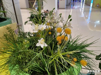 【早春】春天的感覺(jué)