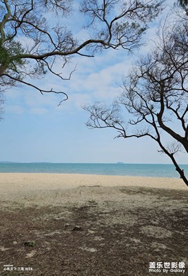 【早春】+ 藍(lán)色海洋