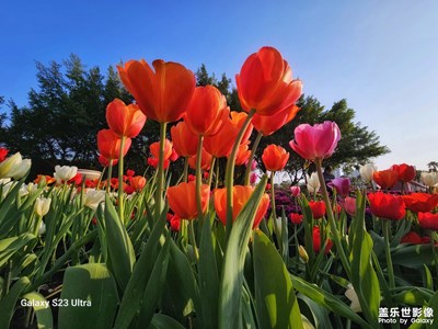 【早春】+?春暖花開