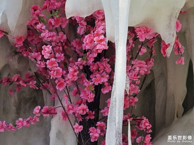 【早春】+ 萬物復(fù)蘇