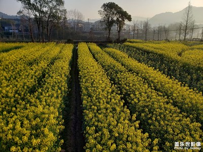【早春】+?春暖花開，春江水暖