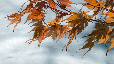 已開(kāi)獎(jiǎng)【蓋樂(lè)世影像周賽第334期】—— 雕刻時(shí)光