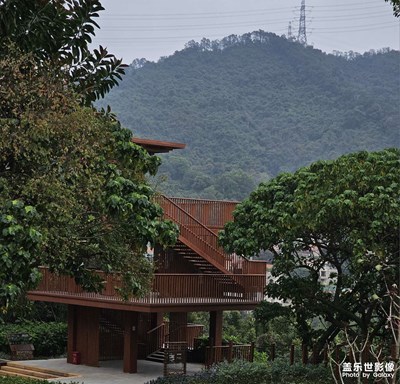 【早春】+?春暉亦然