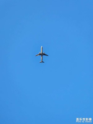 【早春】春的氣息