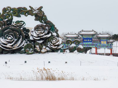 Galaxy S22Ultra   園林初雪（一）