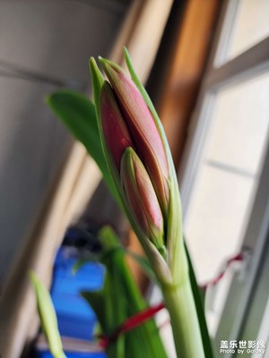 【早春】+ 花花草草很美