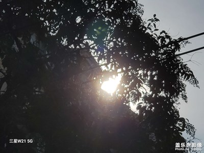 【早春】動(dòng)人春色