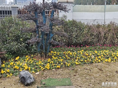 【早春】+ 期待春天