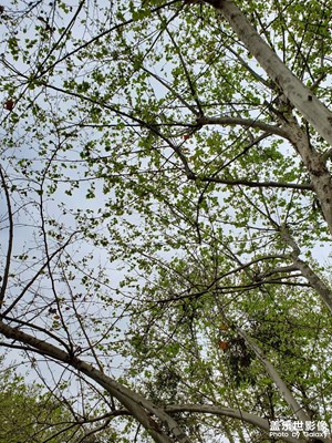 【早春】+令人向往