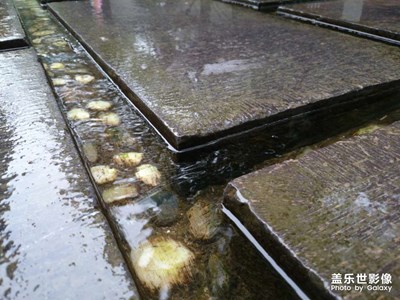 【早春】河邊美景