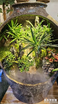 【早春】+?逛花卉市場