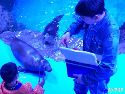 當(dāng)?shù)睾Ｑ箴^