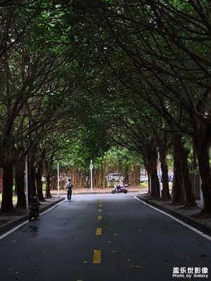 【雕刻時光】整一臺時光機