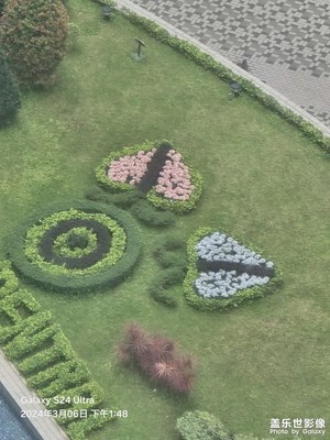 【雕刻時(shí)光】+高樓之下