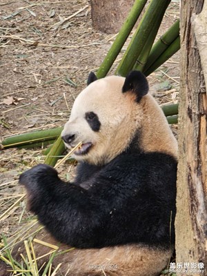 【雕刻時(shí)光】+?窗內(nèi)窗外