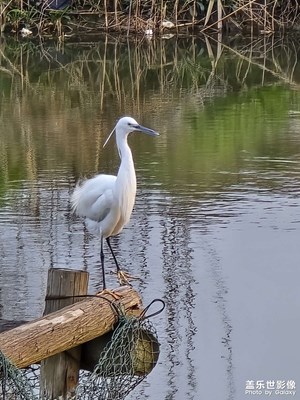 騎行路上的風景