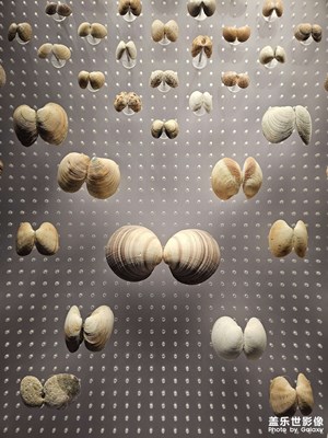 【雕刻時光】幻影排列