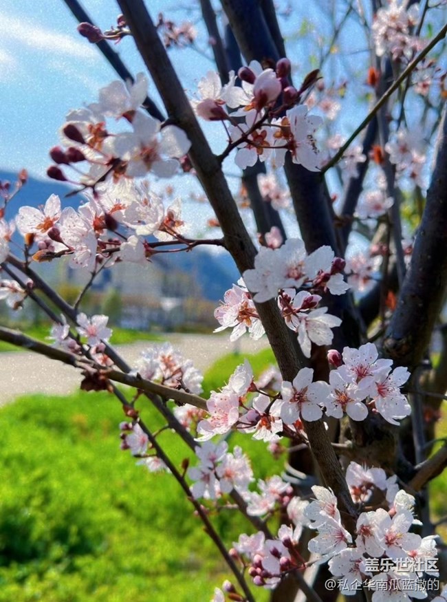 #初春时节——春天到了