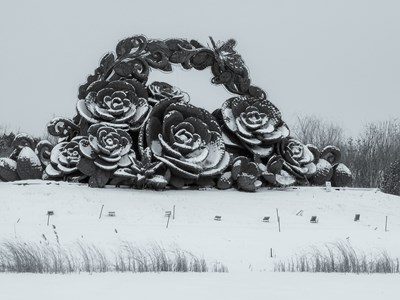 Galaxy S22Ultra   園林初雪（二）