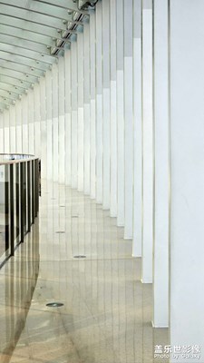 【雕刻時光】日常隨拍