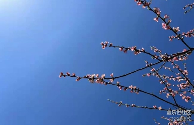 【春暖花开】阳光明媚
