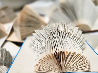 已開獎【蓋樂世影像周賽第335期】—— 三月芳菲