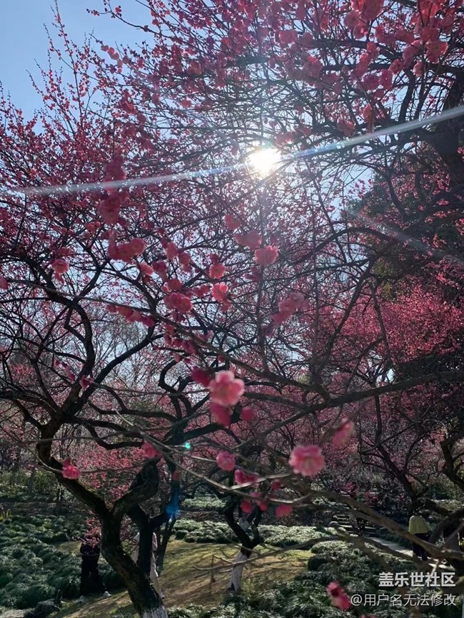 #初春时节——桃花朵朵开