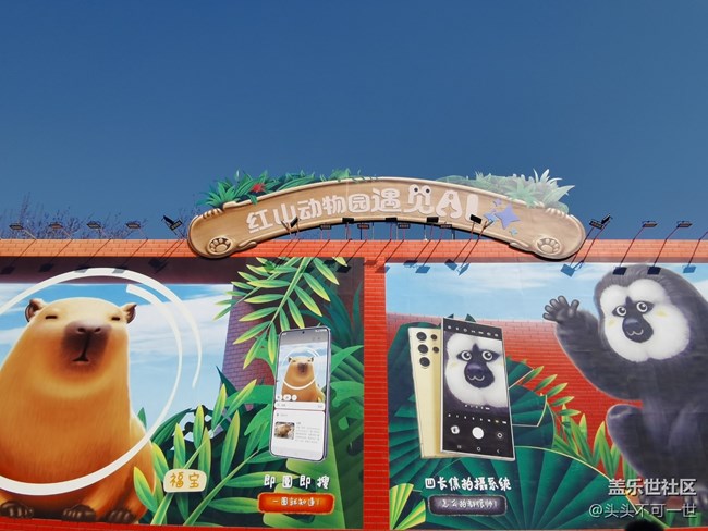【AI Town 快闪活动】打卡798三星红山动物园联动创意墙